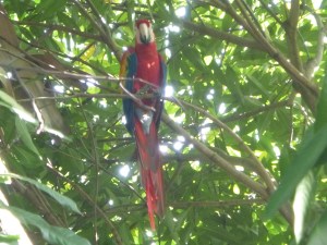 Well, hello to you too